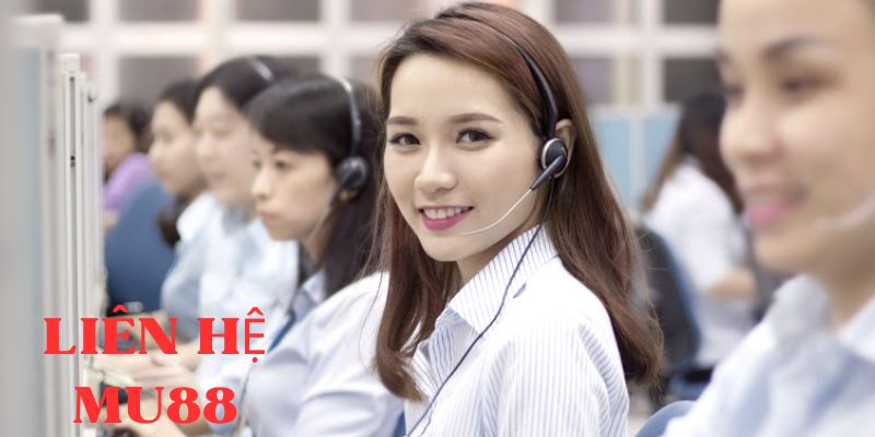 Giới thiệu qua chuyên mục liên lạc của hệ thống